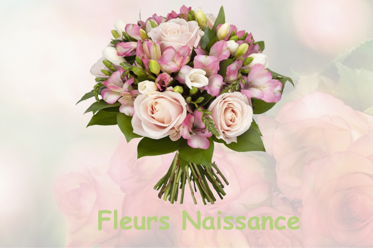 fleurs naissance SANOUS