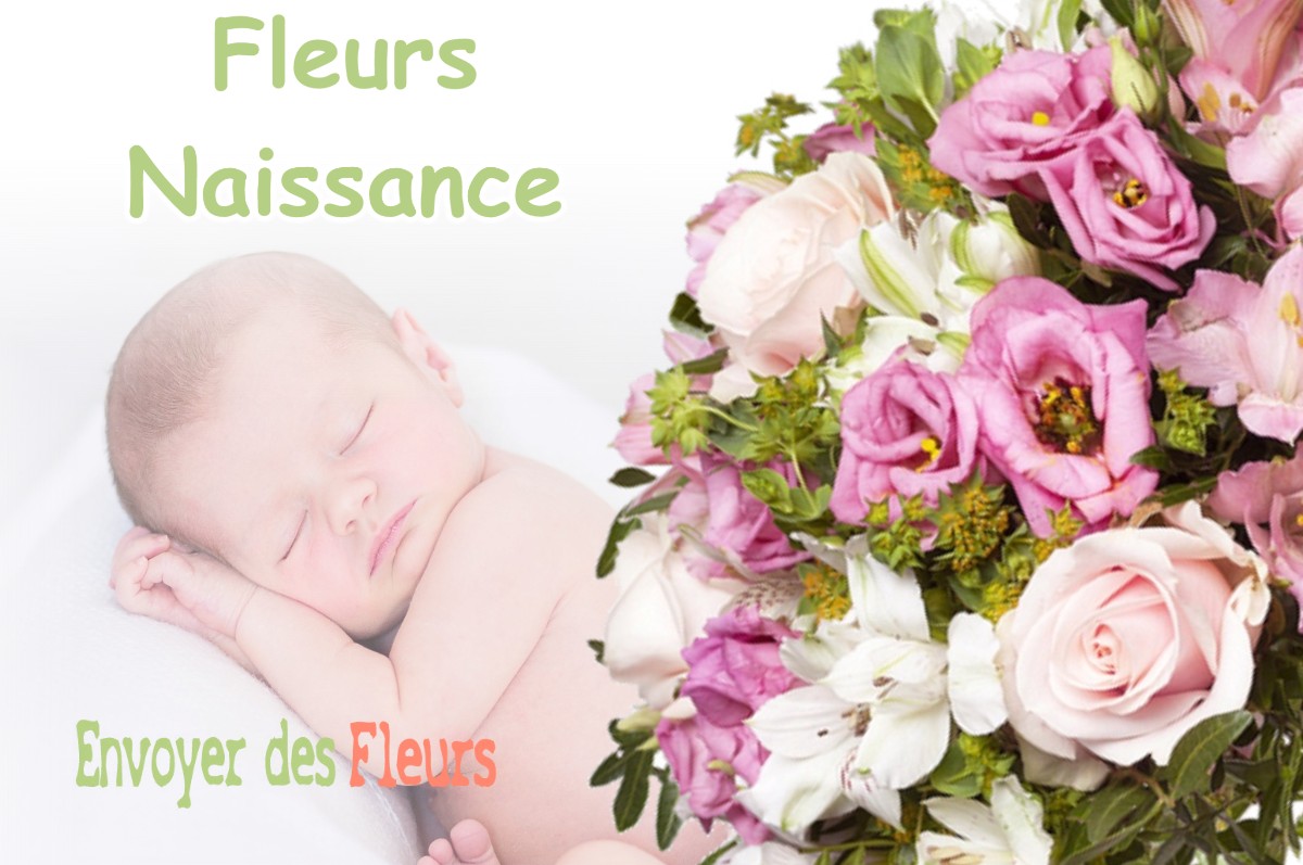 lIVRAISON FLEURS NAISSANCE à SANOUS